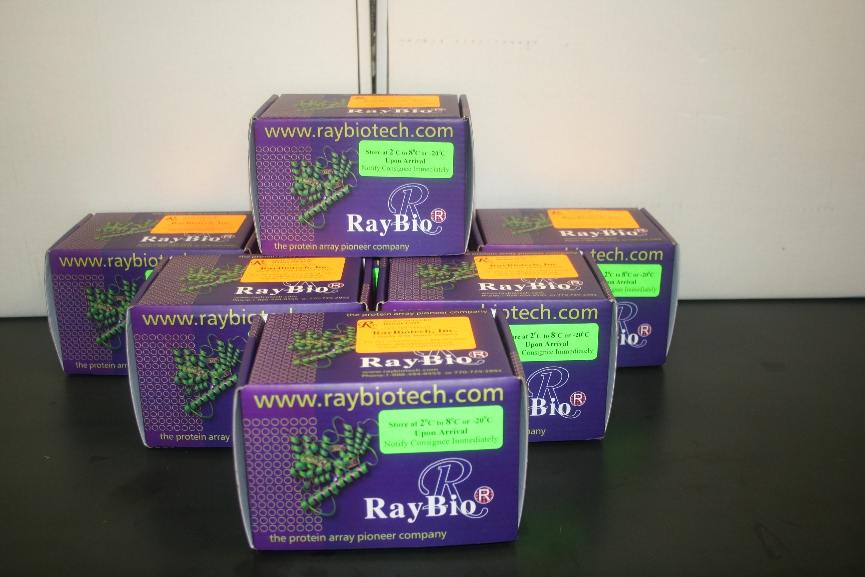 Custom Human ChAT/Choline
