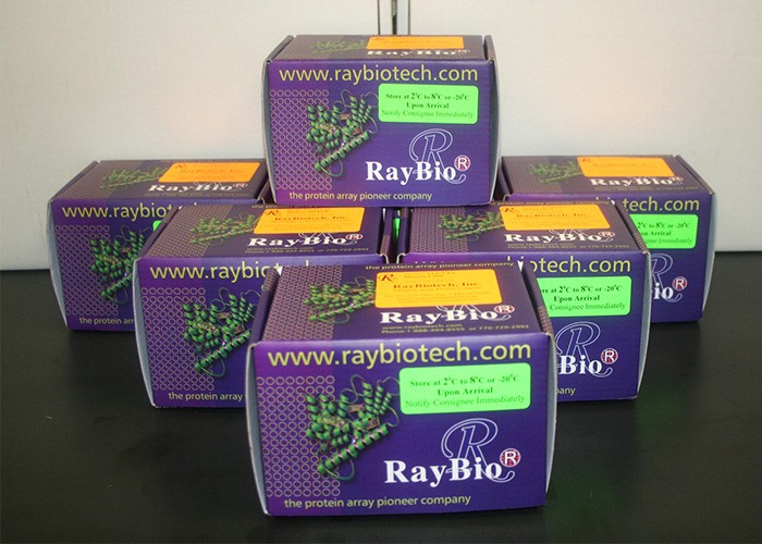Custom Mouse CDC37 ELISA