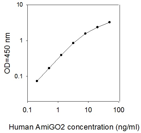 Human AmiGO2 ELISA (图1)
