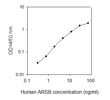 Human Arylsulfatase B/ARSB ELISA(图1)