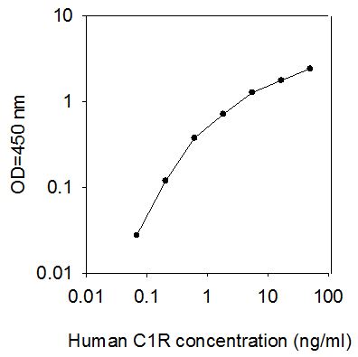 Human C1R/Complement Component C1r ELISA(图1)