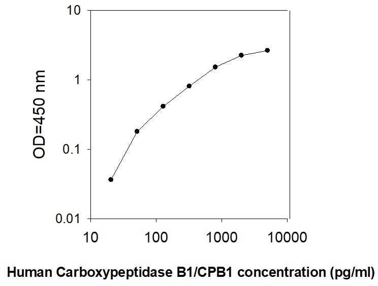 Human Carboxypeptidase B1/CPB1 ELISA(图1)