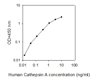 Human Cathepsin A/CTSA ELISA(图1)