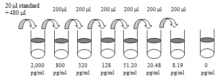 Mouse Fas L ELISA(图2)