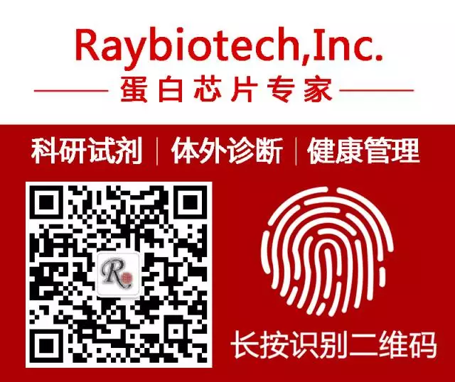 RayBiotech抗体芯片在肌球蛋白II通过免疫微环境对肿瘤的进展(图9)