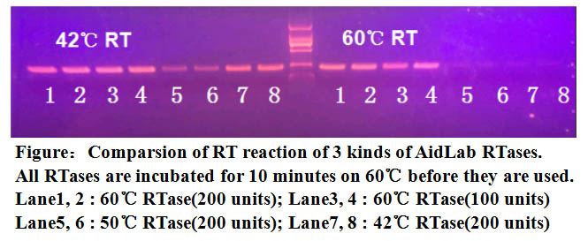 THERMOscript 1st Strand cDNA Synthesis Kit（第一链60℃高温反转录试剂盒）(图2)