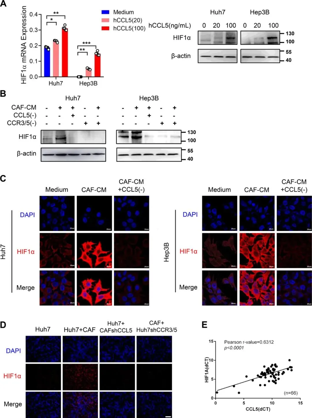 img_05.webp