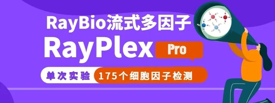 RayBiotech 2026 促销活动