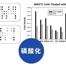 RayBiotech 2026 促销活动