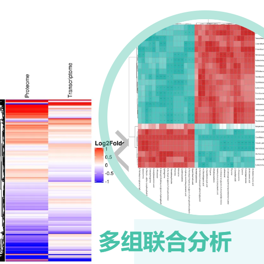 RayBiotech 2026 促销活动