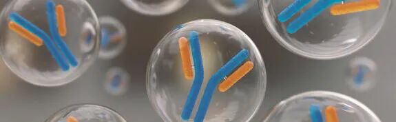 RayBiotech 2026 促销活动